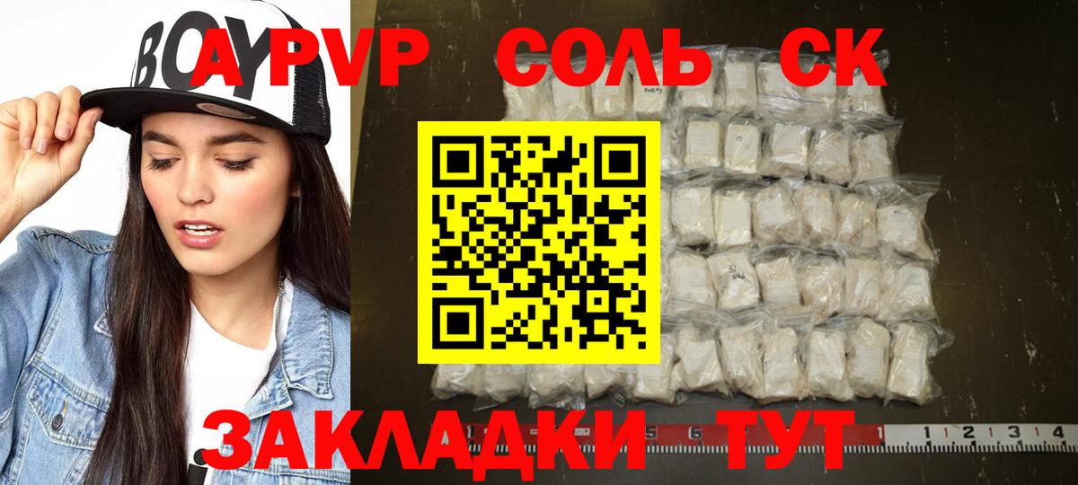 A PVP СК КРИС Губкин